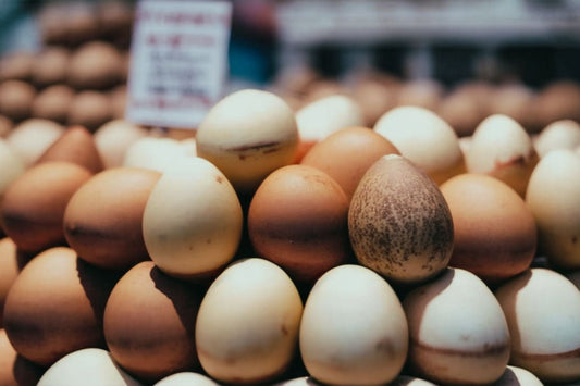Die verschiedenen Möglichkeiten zum Kochen von Eiern: von weichem bis gebackenem Backen
